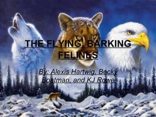 THE FLYING, BARKING FELINES By: Alexis Hartwig, Becky Boatman, and KJ Rowe 