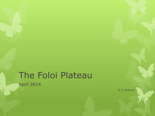 The Foloi Plateau
April 2014
© K. Sofianos
 