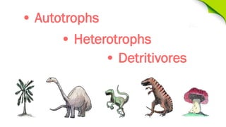 • Autotrophs
• Heterotrophs
• Detritivores

 