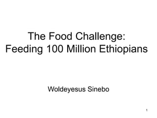 1
The Food Challenge:
Feeding 100 Million Ethiopians
Woldeyesus Sinebo
 