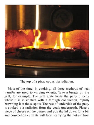 The Food Lab_ Better Home Cooking Through Science ( PDFDrive ) (1) (1).pdf