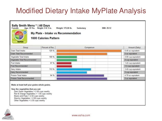 Providing Dietary Analysis With The Food Processor Diet
