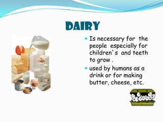 Dairy Is necessary for  the people  especially for children`s  and teeth to grow .used by humans as a drink or for making butter, cheese, etc.