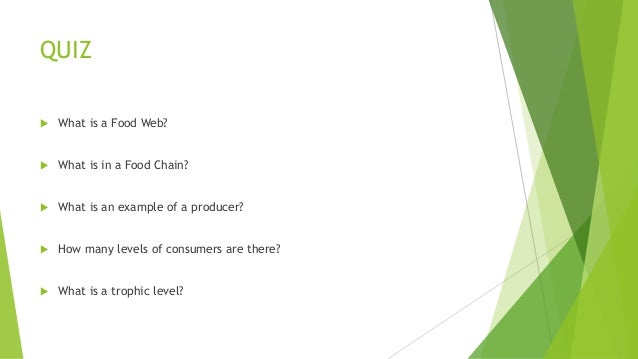 Food Chains For Kids Food Webs The Circle Of Life And The Flow