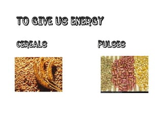 The food we eat