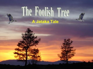 The  Foolish  Tree A Jataka Tale 