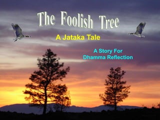 1
A Jataka Tale
A Story For
Dhamma Reflection
 