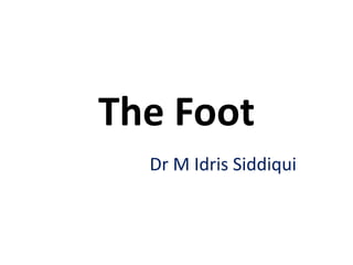The Foot
Dr M Idris Siddiqui
 