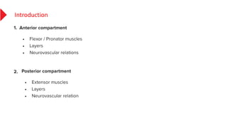 •
•
•
•
•
•
Introduction
 