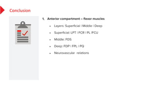 •
•
•
•
•
Conclusion
 