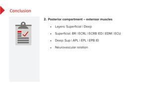 •
•
•
•
Conclusion
 