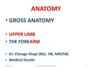 ANATOMY
• GROSS ANATOMY
• UPPER LIMB
• THE FOREARM
• Dr. Chongo Shapi (BSc. HB, MBChB)
• Medical Doctor
2022/11/16 Dr. Chongo Shapi, BSc. HB, MBChB. 1
 