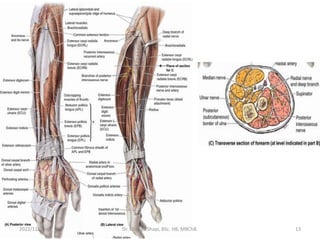 2022/11/16 Dr. Chongo Shapi, BSc. HB, MBChB. 13
 