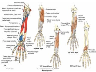 2022/11/16 Dr. Chongo Shapi, BSc. HB, MBChB. 17
 