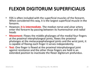 FLEXOR DIGITORUM SUPERFICIALIS
• FDS is often included with the superficial muscles of the forearm.
When considered this way, it is the largest superficial muscle in the
forearm.
• However, it is intermediate. The median nerve and ulnar artery
enter the forearm by passing between its humeroulnar and radial
heads
• Movement: Flexes the middle phalanges of the medial four fingers
at the proximal interphalangeal joints, flexes the proximal
phalanges at the metacarpophalangeal joints and the wrist joint, it
is capable of flexing each finger it serves independently.
• Test: One finger is flexed at the proximal interphalangeal joint
against resistance and the other three fingers are held in an
extended position to inactivate the flexor digitorum profundus.
2022/11/16 Dr. Chongo Shapi, BSc. HB, MBChB. 22
 