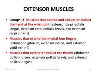 EXTENSOR MUSCLES
• Groups: 3- Muscles that extend and abduct or adduct
the hand at the wrist joint (extensor carpi radialis
longus, extensor carpi radialis brevis, and extensor
carpi ulnaris)
• Muscles that extend the medial four fingers
(extensor digitorum, extensor indicis, and extensor
digiti minimi)
• Muscles that extend or abduct the thumb (abductor
pollicis longus, extensor pollicis brevis, and extensor
pollicis longus).
2022/11/16 Dr. Chongo Shapi, BSc. HB, MBChB. 26
 