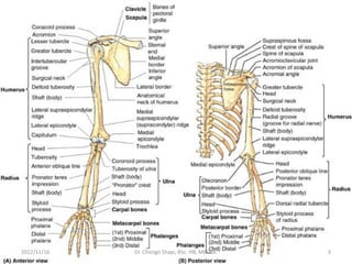 2022/11/16 Dr. Chongo Shapi, BSc. HB, MBChB. 3
 