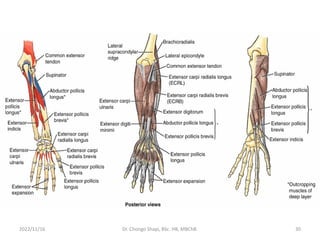 2022/11/16 Dr. Chongo Shapi, BSc. HB, MBChB. 30
 