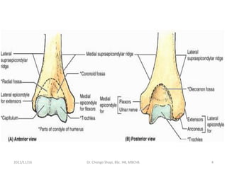 2022/11/16 Dr. Chongo Shapi, BSc. HB, MBChB. 4
 