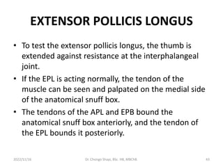 EXTENSOR POLLICIS LONGUS
• To test the extensor pollicis longus, the thumb is
extended against resistance at the interphalangeal
joint.
• If the EPL is acting normally, the tendon of the
muscle can be seen and palpated on the medial side
of the anatomical snuff box.
• The tendons of the APL and EPB bound the
anatomical snuff box anteriorly, and the tendon of
the EPL bounds it posteriorly.
2022/11/16 Dr. Chongo Shapi, BSc. HB, MBChB. 43
 