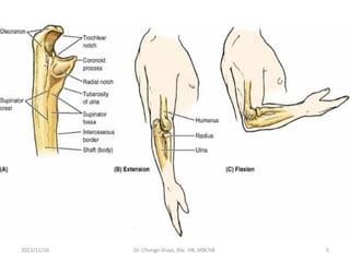 2022/11/16 Dr. Chongo Shapi, BSc. HB, MBChB. 5
 