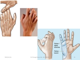 2022/11/16 Dr. Chongo Shapi, BSc. HB, MBChB. 53
 