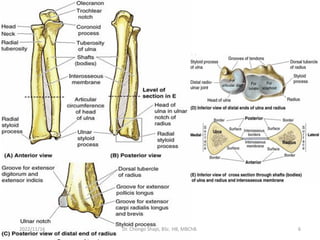 2022/11/16 Dr. Chongo Shapi, BSc. HB, MBChB. 6
 