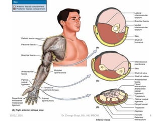 2022/11/16 Dr. Chongo Shapi, BSc. HB, MBChB. 8
 
