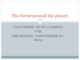 The forest around the planet. 
CALVACHE JUAN CAMILO 
7ºB 
THURSDAY, NOVEMBER 27, 
2014 
 