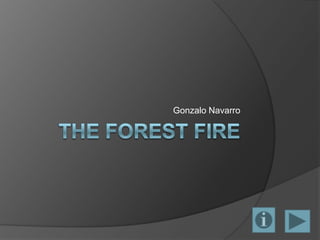 The forest fire Gonzalo Navarro 