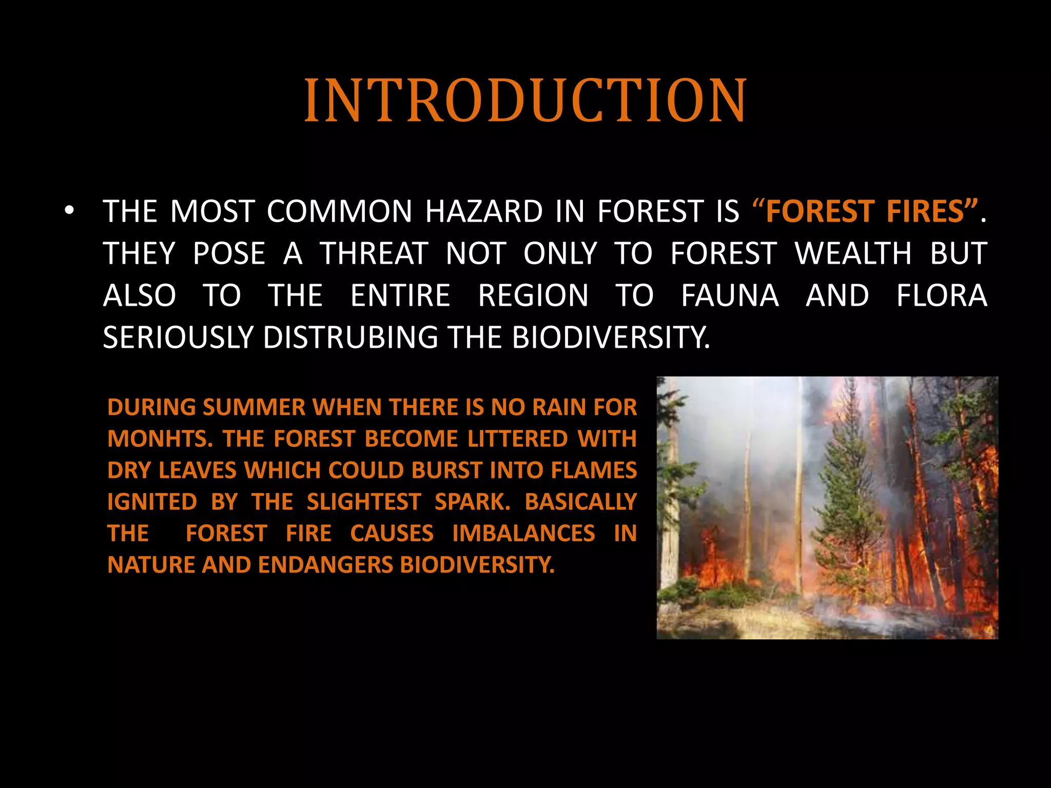 The forest fire PPT
