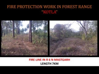 FIRE PROTECTION WORK IN FOREST RANGE
“KOTLA”
FIRE LINE IN R 6 N MASTGARH
LENGTH 7KM
 