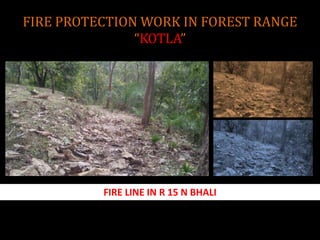 FIRE PROTECTION WORK IN FOREST RANGE
“KOTLA”
FIRE LINE IN R 15 N BHALI
 