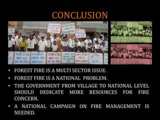 CONCLUSION
• FOREST FIRE IS A MULTI SECTOR ISSUE.
• FOREST FIRE IS A NATIONAL PROBLEM.
• THE GOVERNMENT FROM VILLAGE TO NATIONAL LEVEL
SHOULD DEDICATE MORE RESOURCES FOR FIRE
CONCERN.
• A NATIONAL CAMPAIGN ON FIRE MANAGEMENT IS
NEEDED.
 