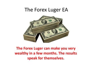 The Forex Luger EA The Forex Luger can make you very wealthy in a few months. The results speak for themselves. 