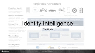 © 2017 ForgeRock. All rights reserved.
Identity Intelligence
The Brain
 