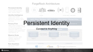 © 2017 ForgeRock. All rights reserved.
Persistent Identity
Connect to Anything
 