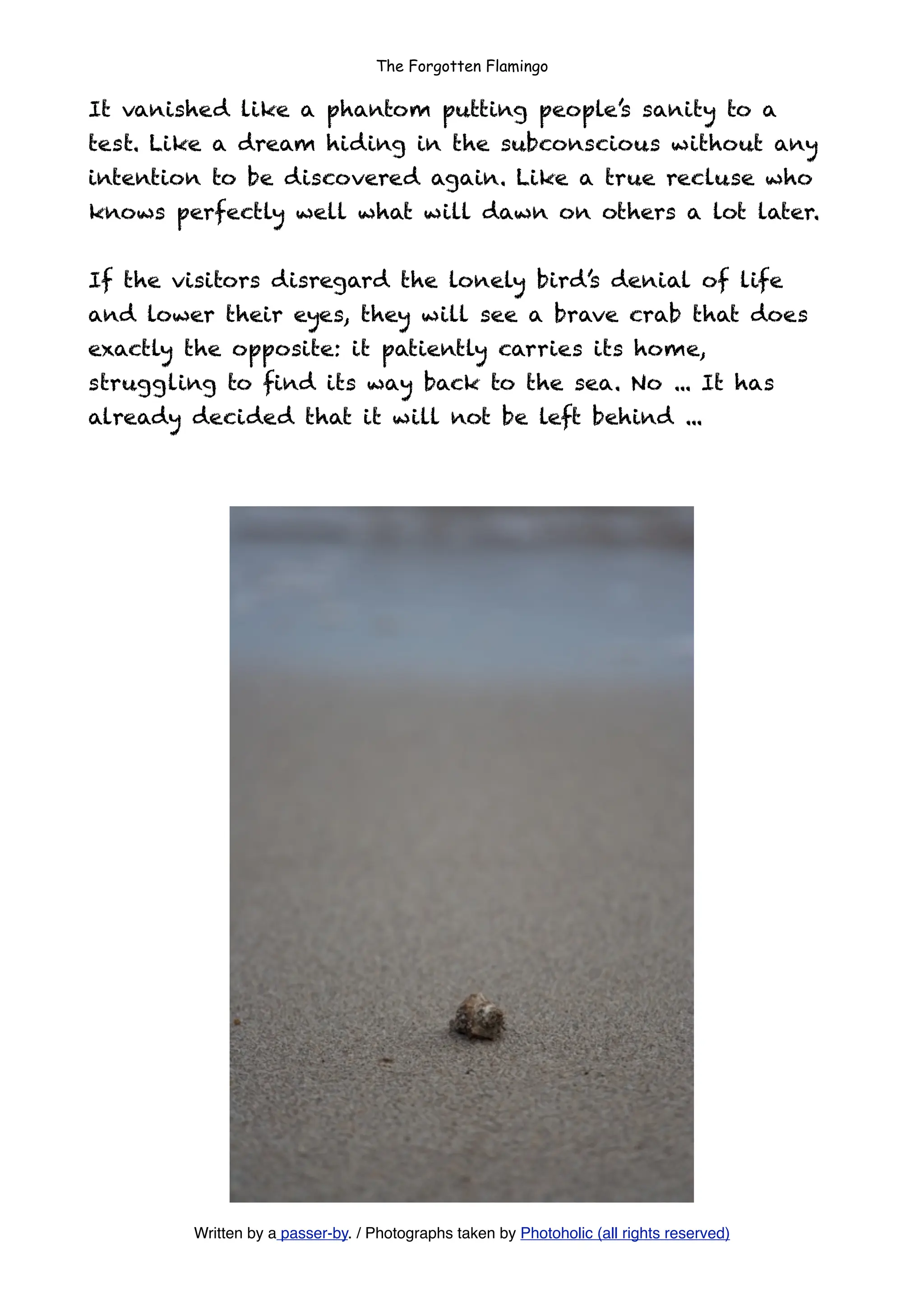 The Forgotten Flamingo

It vanished like a phantom putting people’s sanity to a
test. Like a dream hiding in the subconscious without any
intention to be discovered again. Like a true recluse who
knows perfectly well what will dawn on others a lot later.


If the visitors disregard the lonely bird’s denial of life
and lower their eyes, they will see a brave crab that does
exactly the opposite: it patiently carries its home,
struggling to ﬁnd its way back to the sea. No ... It has
already decided that it will not be left behind ...




        Written by a passer-by. / Photographs taken by Photoholic (all rights reserved)
 