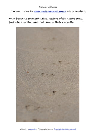 The Forgotten Flamingo

You can listen to some instrumental music while reading.


On a beach at Southern Crete, visitors often notice small
footprints on the sand that arouse their curiosity.




        Written by a passer-by. / Photographs taken by Photoholic (all rights reserved)
 