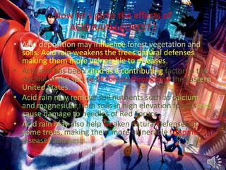 Now let’s go to the effects of
ACID RAIN ( FOREST )
• Acid deposition may influence forest vegetation and
soils. Acid rain weakens the trees natural defenses,
making them more vulnerable to diseases.
• Acid rain has been cited as a contributing factor to the
decline of the spruce-fir forests throughout the Eastern
United States.
• Acid rain may remove soil nutrients such as calcium
and magnesium from soils in high elevation forests and
cause damage to needles of Red Spruce.
• Acid rain may also help weaken natural defenses of
some trees, making them more vulnerable to some
diseases and pests.
 