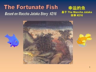 1
幸运的鱼
基于 The Maccha Jataka
故事 #216
 