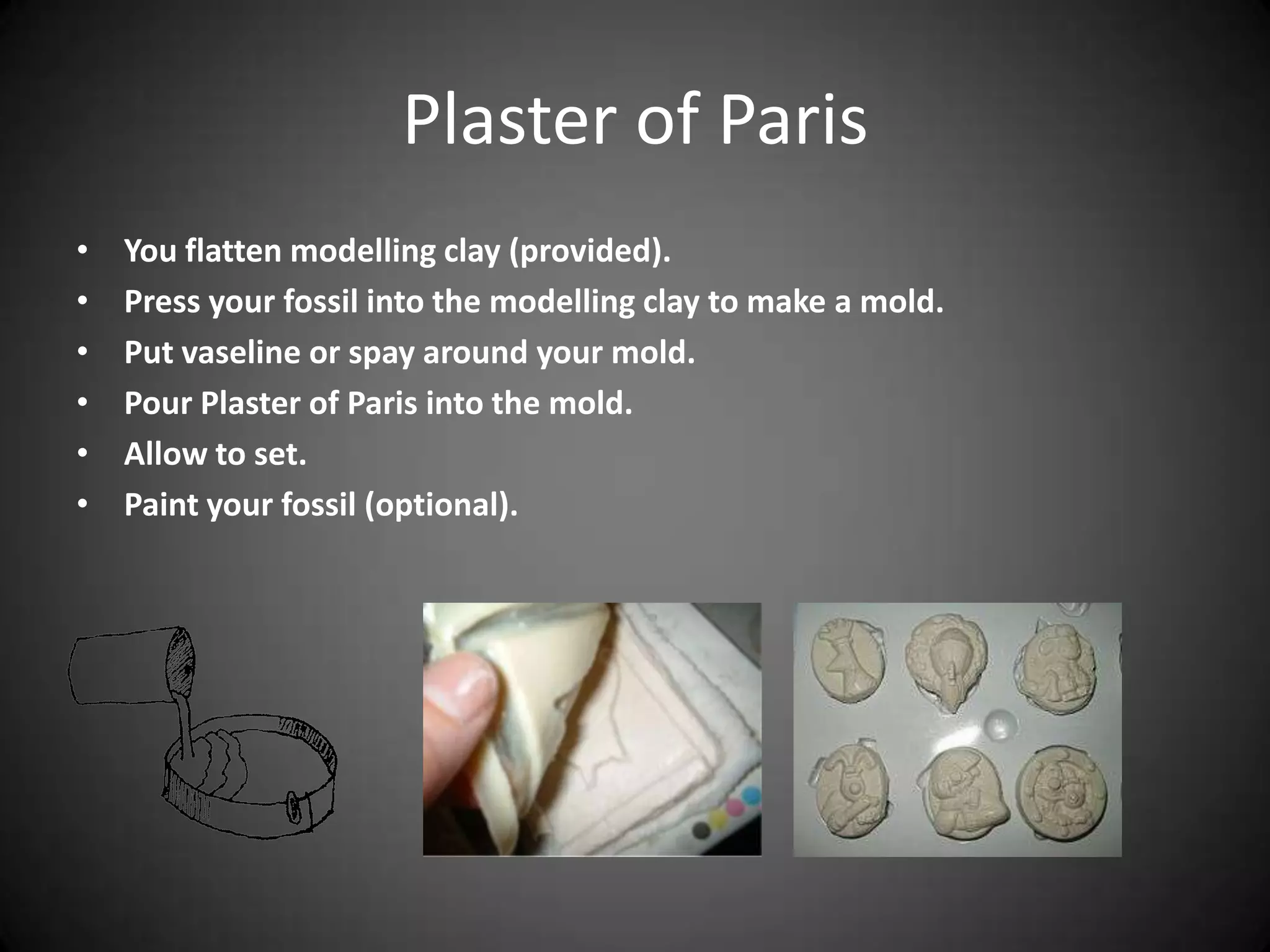Plaster of Paris
• You flatten modelling clay (provided).
• Press your fossil into the modelling clay to make a mold.
• Put vaseline or spay around your mold.
• Pour Plaster of Paris into the mold.
• Allow to set.
• Paint your fossil (optional).