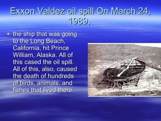 Exxon Valdez oil spill On March 24, 1989,  the ship that was going to the Long Beach, California, hit Prince William, Alaska. All of this cased the oil spill. All of this, also, caused the death of hundreds of birds, animals, and fishes that lived there.  