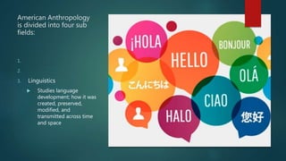 Anthropology: The four field approach | PPTX