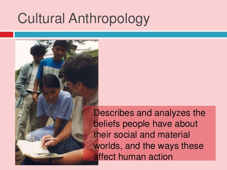 The four fields of anthropology