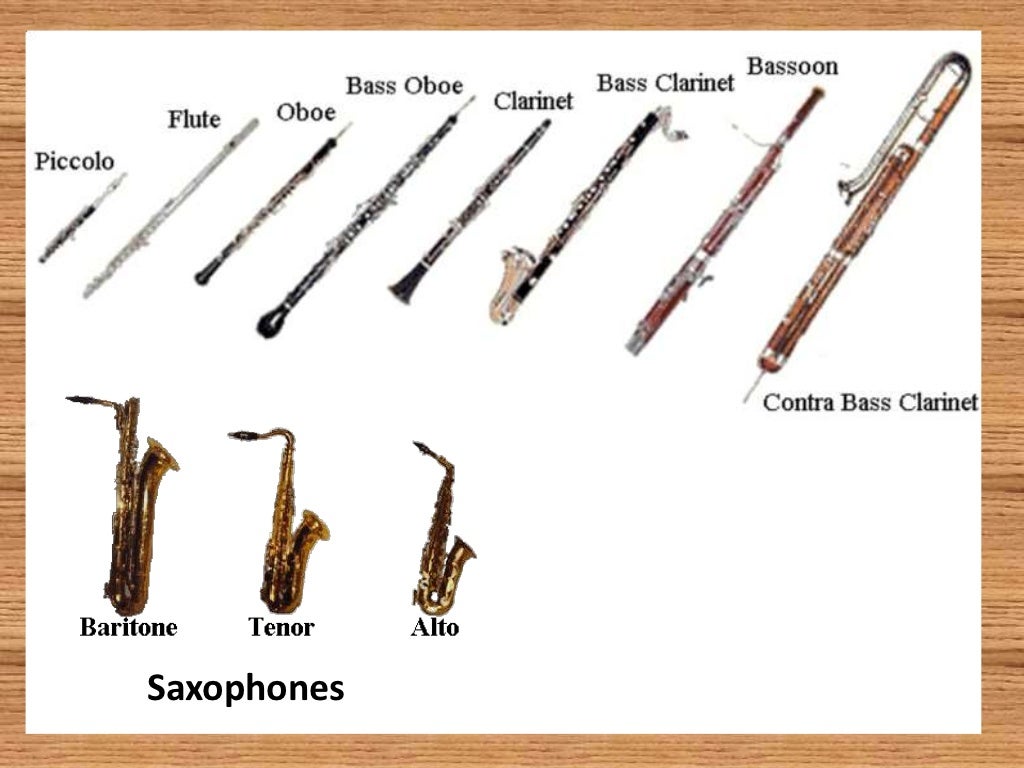 The four instrument families of the orchestra!