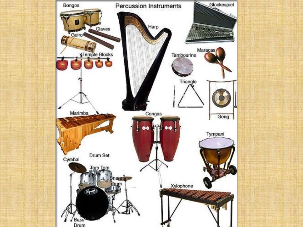 The four instrument families of the orchestra!