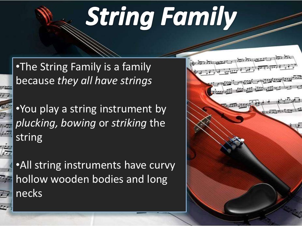 The four instrument families of the orchestra!