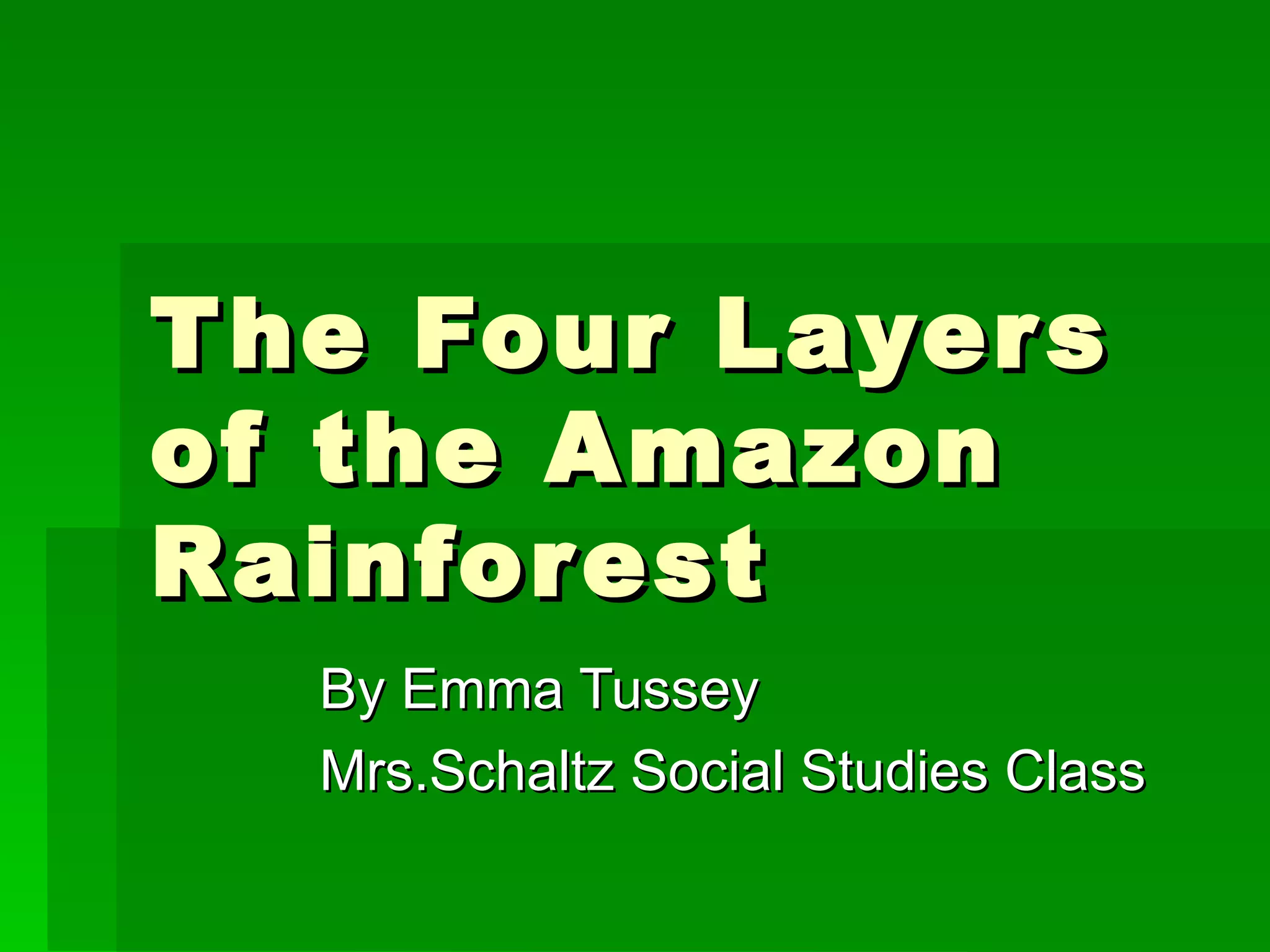 The four layers of the amazon rainforest emmas project2 | PPT