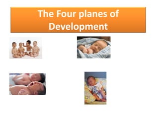 The Four planes of
Development
 